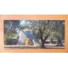 DECKERS carte postale Oliviers du Salento 2 Chipure 